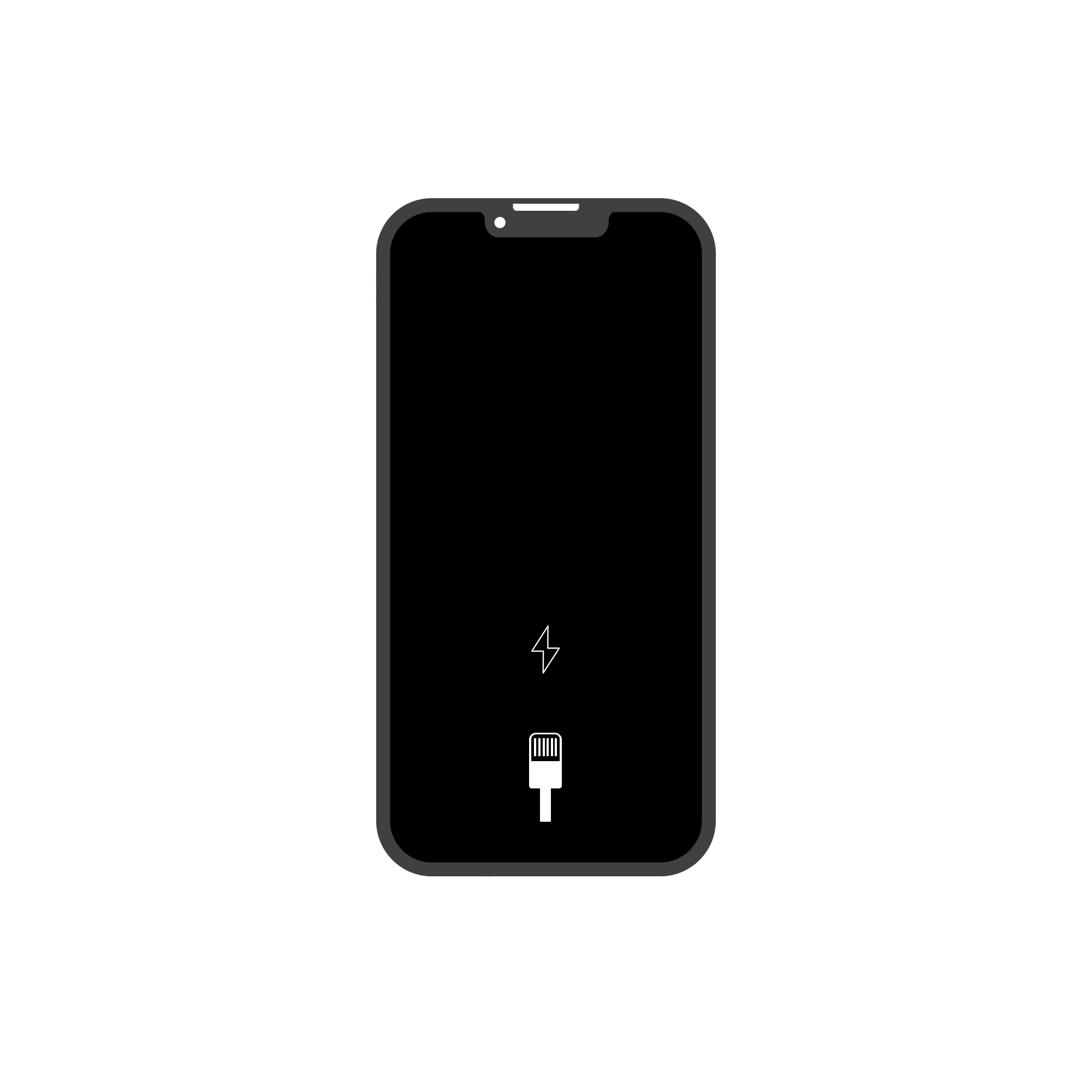 Charging Port Repair